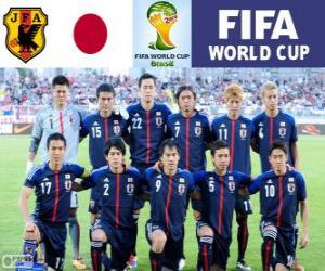 пазл Выбор Японии, Группа C, Бразилия 2014